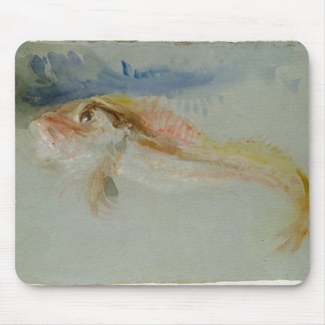 Joseph Mallord William turner | en Gurnard Musmatta (Framsidan)