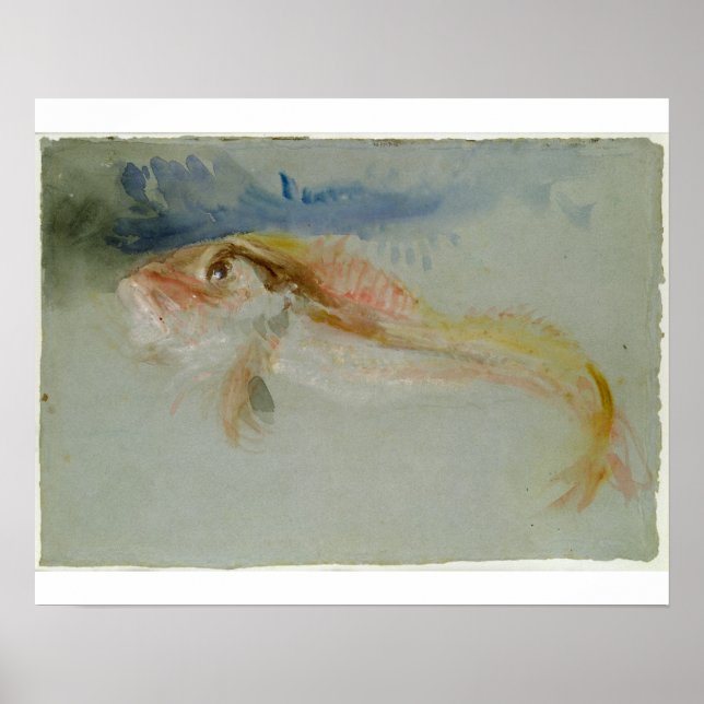 Joseph Mallord William Turner | Gurnard Poster (Framsidan)