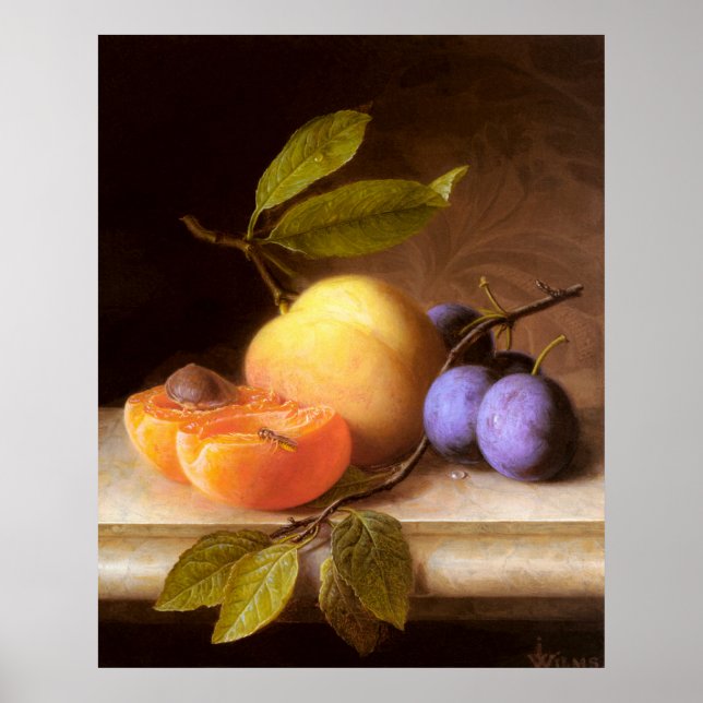 Joseph Peter Wilms - Peacher och Plums Poster (Framsidan)