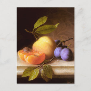 Joseph Peter Wilms - Peacher och Plums Vykort