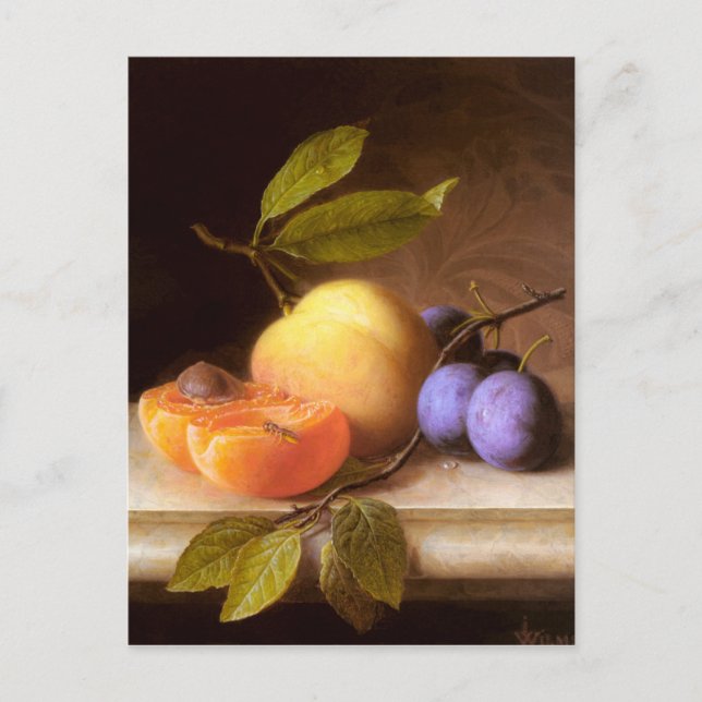 Joseph Peter Wilms - Peacher och Plums Vykort (Framsida)