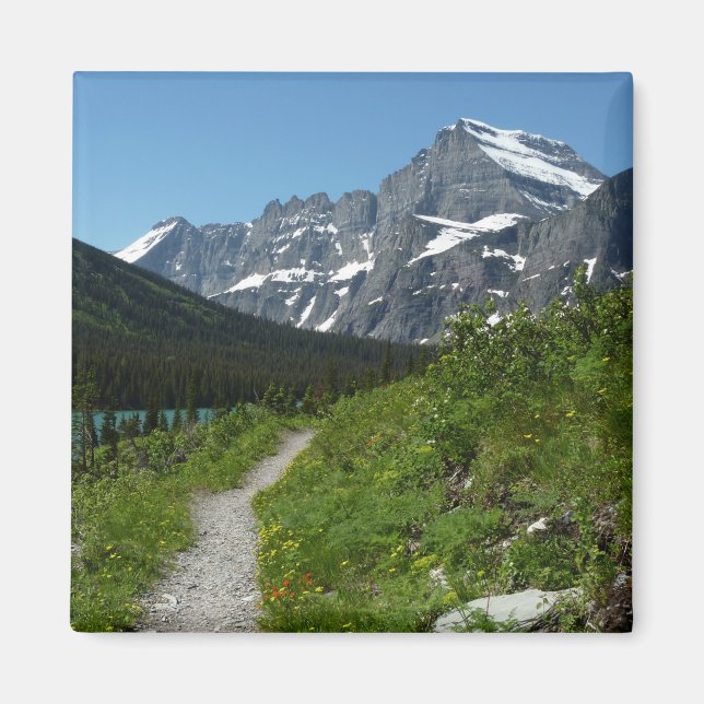 Josephine Lake Trail med Mount Guild vid Glacier Magnet (Framsidan)