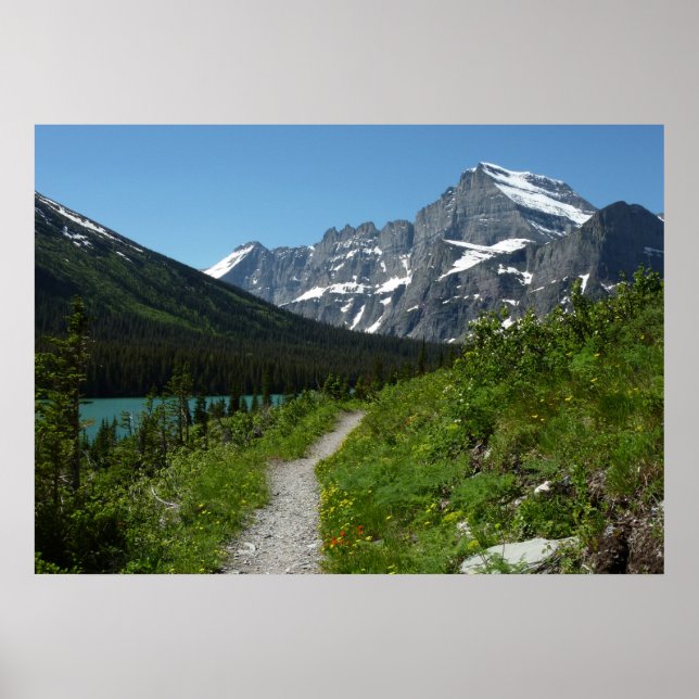 Josephine Lake Trail med Mount Guild vid Glacier Poster (Framsidan)