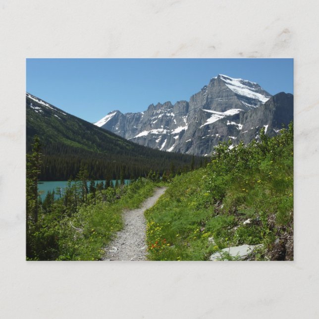 Josephine Lake Trail med Mount Guild vid Glacier Vykort (Framsida)