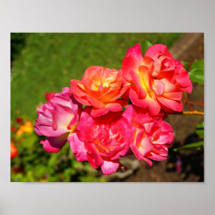 Joseph's Jacka Ro #1 Poster