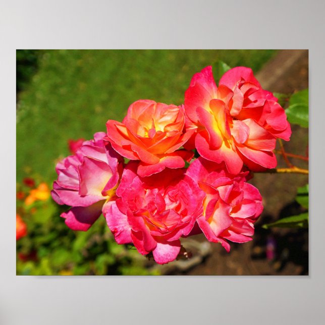 Joseph's Jacka Ro #1 Poster (Framsidan)