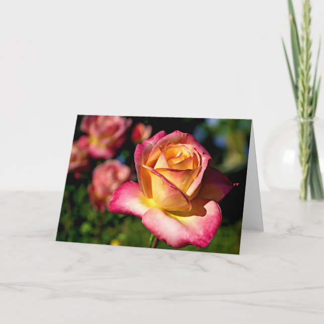 Joseph's Jacka Ro Scripture Card Isaiah 26:3 Kort (Framsida)