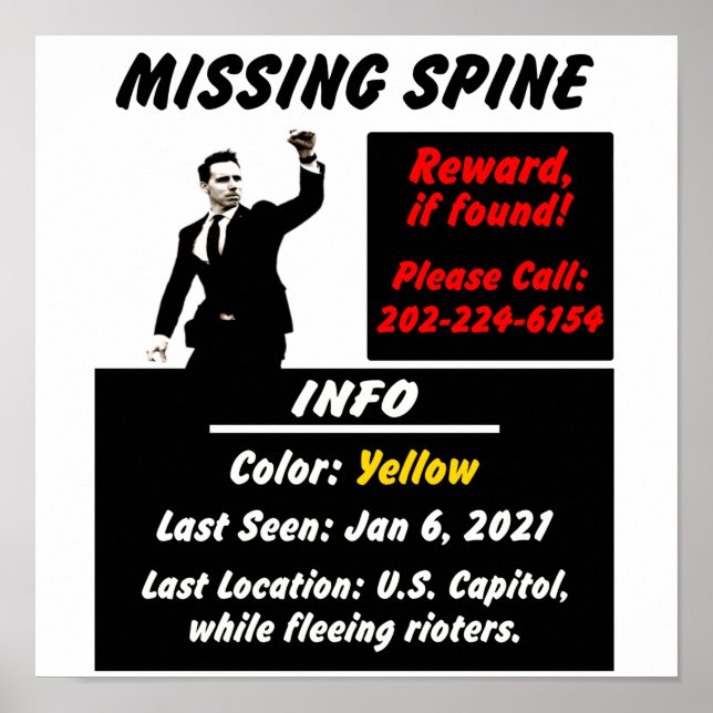 Josh Hawley Missing Spine Poster (Framsidan)