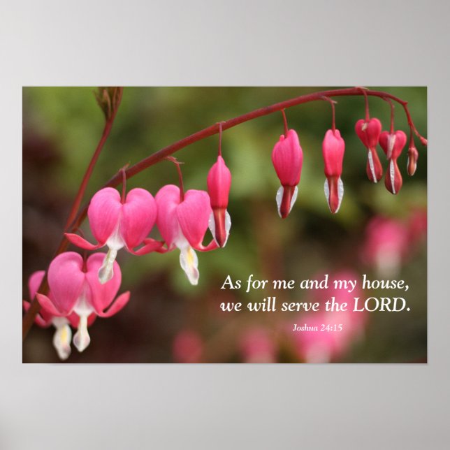 Joshua 24:15 Bleeding Heart Flowers Poster (Framsidan)