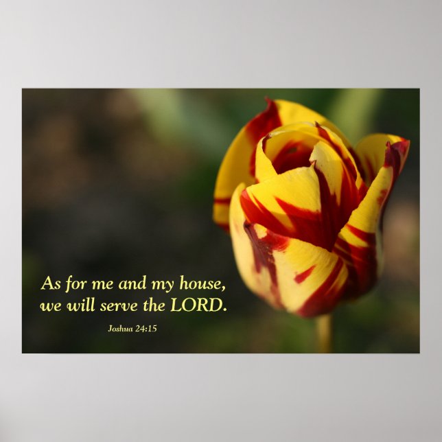 Joshua 24:15 Red and Gult Tulip Poster (Framsidan)