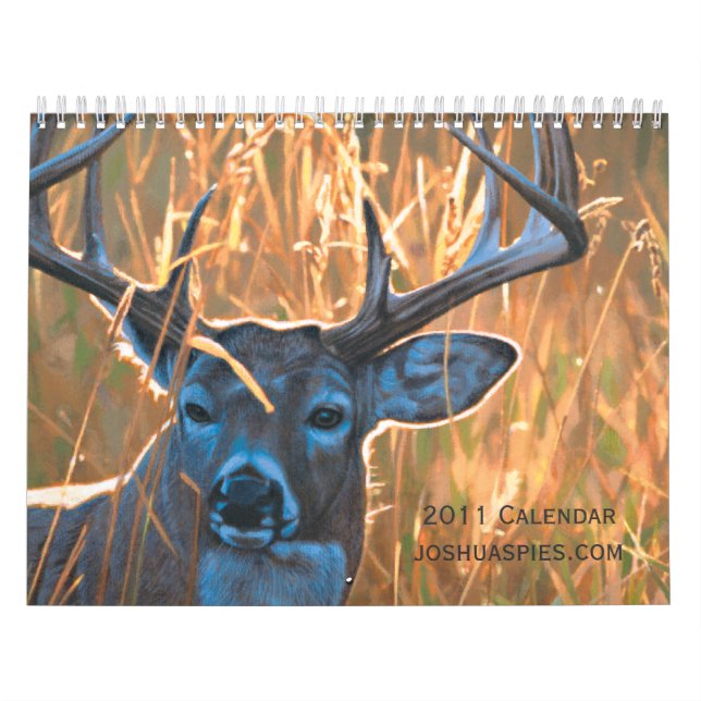 Joshua Spies 2011 Calendar Kalender (Omslag)