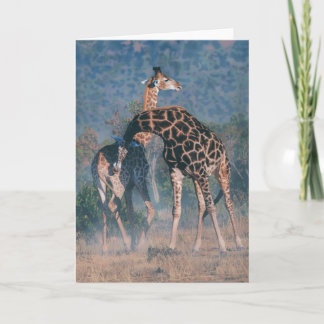 Joshua spioner noterar kortet kort