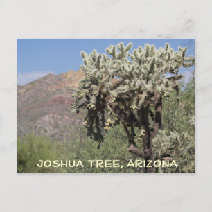 Joshua Träd, Arizona Postcard Vykort