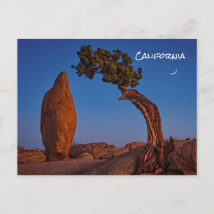 Joshua Träd California Postcard Vykort