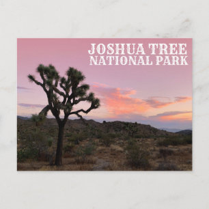 Joshua Träd California Sunset Vykort