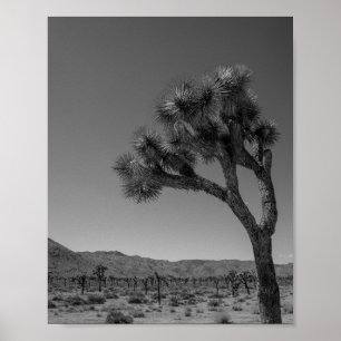Joshua Träd Desert Landscape - nationalparksfoto Poster