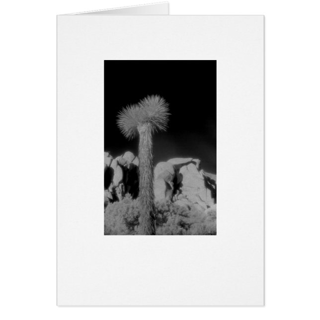 "Joshua Träd" Hälsningskort (Framsidan)