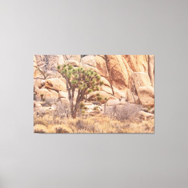 Joshua Träd i Desert Canvastryck (Framsida)