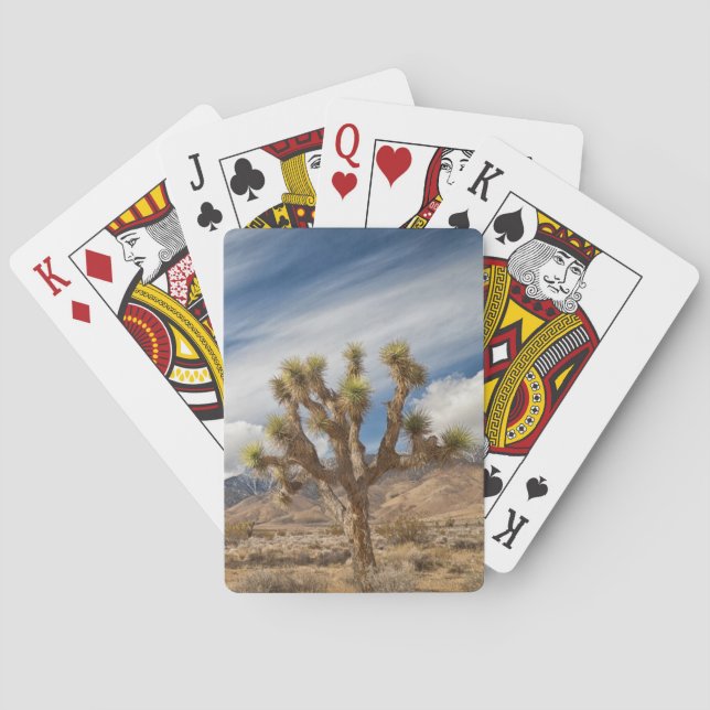 Joshua Träd i Desert Spel Kort (Baksidan)