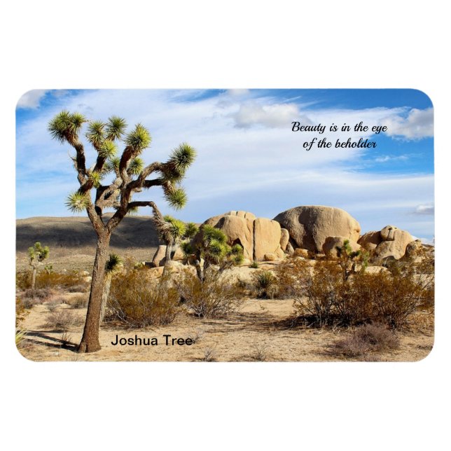 Joshua Träd i Mojave Desert 4"x6" Magnet (Horisontell)