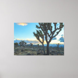 Joshua Träd Ligcape vid Sunset Canvastryck