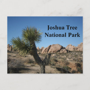 Joshua Träd nationalpark California Travel USA Vykort