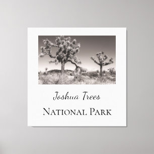 Joshua Träd nationalpark Canvastryck