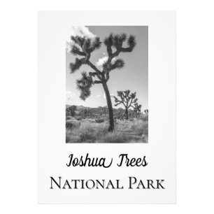 Joshua Träd nationalpark Fototryck