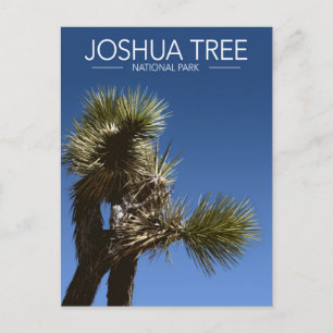 Joshua Träd nationalpark Grenar Stylized Travel Vykort