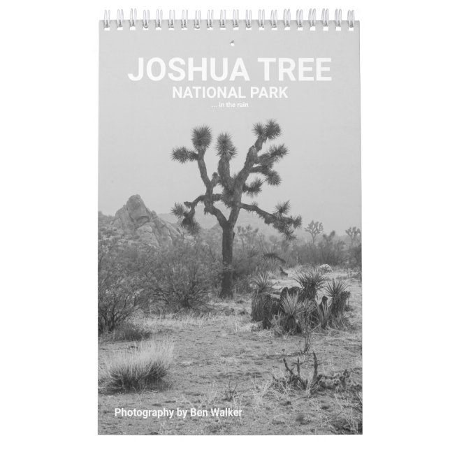 Joshua Träd nationalpark ... I Regnkalendern Kalender (Omslag)