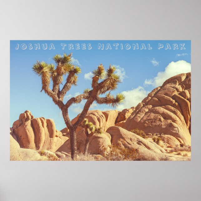 Joshua Träd nationalpark Landcape Scenery Poster (Framsidan)