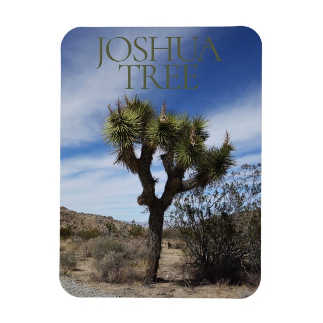 Joshua Träd nationalpark Magnet (Vertikal)