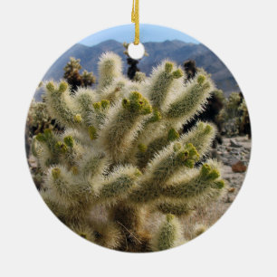Joshua Träd nationalpark ornament