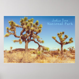 Joshua Träd nationalpark Poster