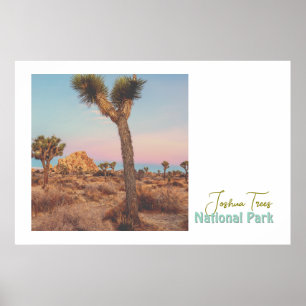 Joshua Träd nationalpark Poster