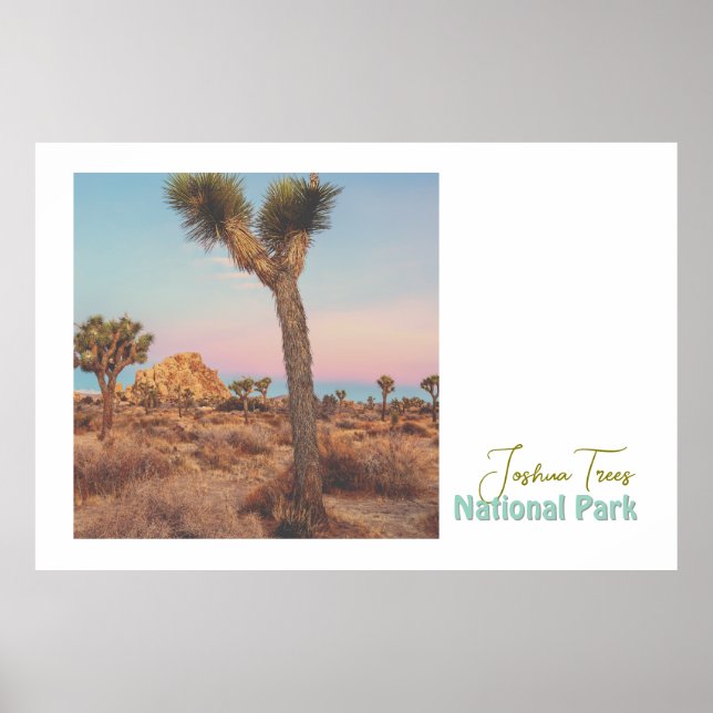 Joshua Träd nationalpark Poster (Framsidan)