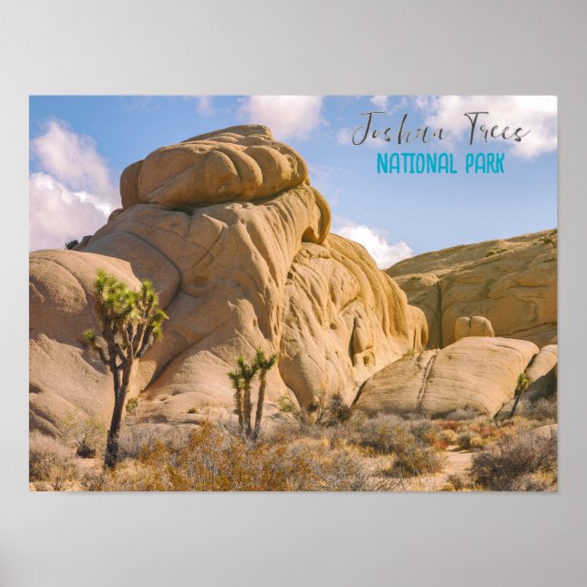 Joshua Träd nationalpark Poster (Framsidan)