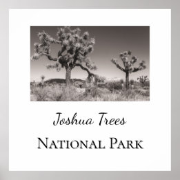 Joshua Träd nationalpark Poster