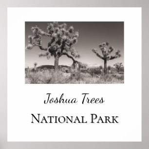 Joshua Träd nationalpark Poster
