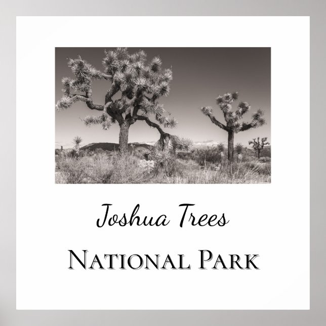 Joshua Träd nationalpark Poster (Framsidan)
