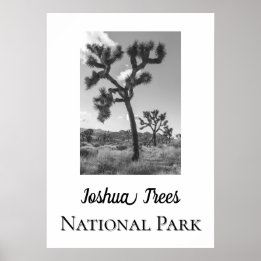 Joshua Träd nationalpark Poster