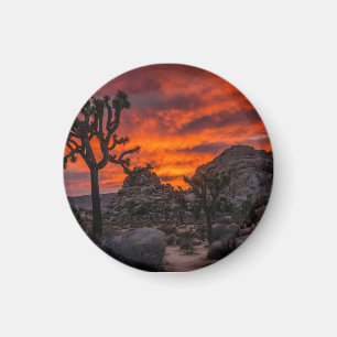 Joshua Träd nationalpark Red Sunset Magnet