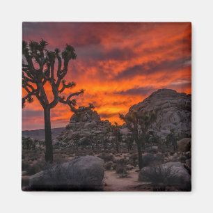 Joshua Träd nationalpark Red Sunset Magnet