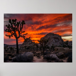 Joshua Träd nationalpark Red Sunset Poster