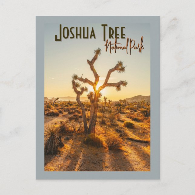 Joshua Träd nationalpark Souvenir Gift Vykort (Framsida)