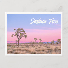 Joshua Träd nationalpark Sunset Photo Postcard Vykort