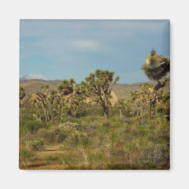 Joshua Träd nationalparken Desert Landskap Magnet (Framsidan)