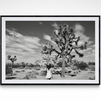 Joshua Träd nationalparksfotografi Poster