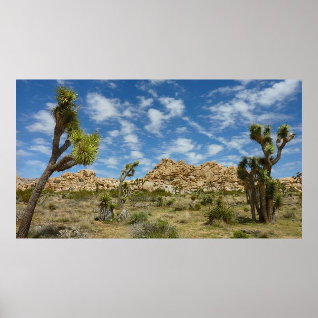 Joshua-träd och blå himmel ökenlandskap poster (Framsidan)