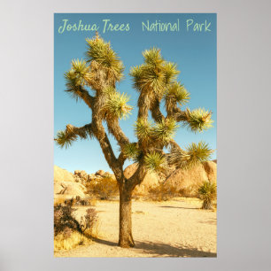 Joshua Träd Poster